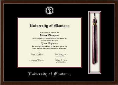 University of Montana Missoula diploma frame - Tassel & Cord Diploma Frame in Delta