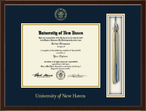 University of New Haven Tassel Edition Diploma Frame in Delta
