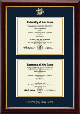University of New Haven diploma frame - Masterpiece Medallion Double Diploma Frame in Gallery