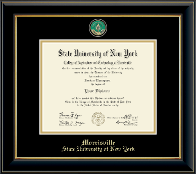 SUNY Morrisville diploma frame - Masterpiece Medallion Diploma Frame in Onyx Gold