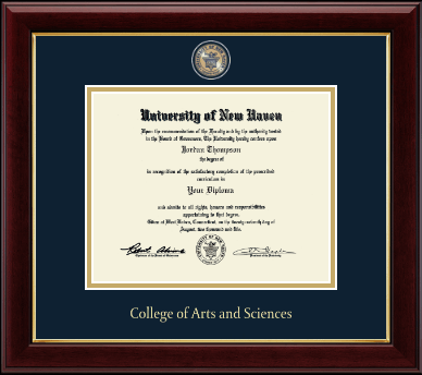 University of New Haven diploma frame - Masterpiece Medallion Diploma Frame in Gallery