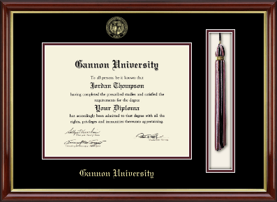Gannon University diploma frame - Tassel & Cord Diploma Frame in Southport Gold