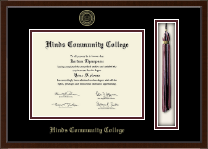 Hinds Community College Tassel Edition Diploma Frame in Delta