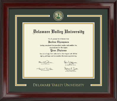 Delaware Valley University diploma frame - Showcase Edition Diploma Frame in Encore