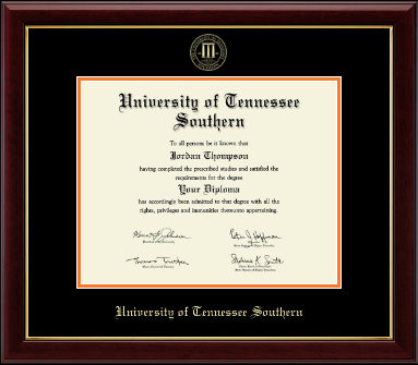University of Tennessee Southern diploma frame - Gold Embossed Diploma Frame in Gallery