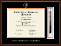 University of Tennessee Southern diploma frame - Tassel & Cord Diploma Frame in Delta