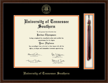 University of Tennessee Southern diploma frame - Tassel & Cord Diploma Frame in Delta