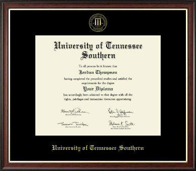 University of Tennessee Southern diploma frame - Gold Embossed Diploma Frame in Studio Gold