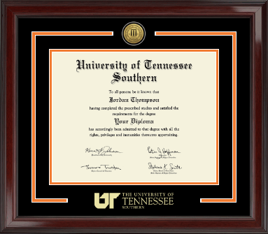 University of Tennessee Southern diploma frame - Showcase Edition Diploma Frame in Encore