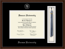 Daemen University diploma frame - Tassel & Cord Diploma Frame in Delta