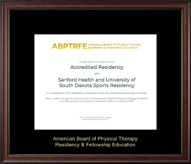 American Board of Physical Therapy Residency & Fellowship Education certificate frame - Gold Embossed Certificate Frame in Studio