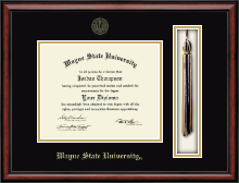 Wayne State University diploma frame - Tassel & Cord Diploma Frame in Southport