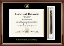 Cumberland University diploma frame - Tassel & Cord Diploma Frame in Southport Gold