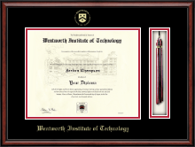 Wentworth Institute of Technology diploma frame - Tassel Edition Diploma Frame in Southport