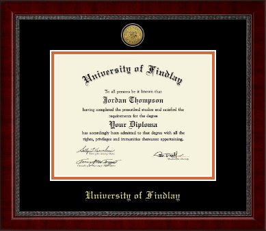 The University of Findlay diploma frame - Gold Engraved Medallion Diploma Frame in Sutton