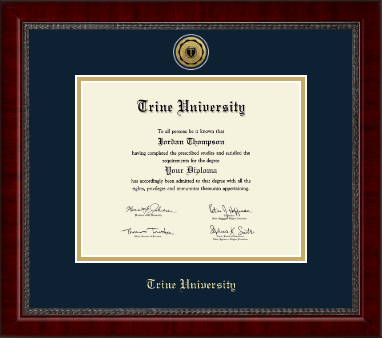 Trine University diploma frame - Gold Engraved Medallion Diploma Frame in Sutton