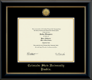 Colorado State University Pueblo Gold Engraved Medallion Diploma Frame in Onyx Gold
