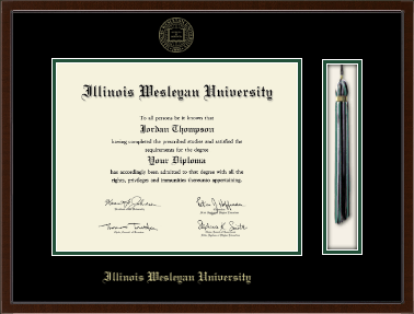 Illinois Wesleyan University diploma frame - Tassel & Cord Diploma Frame in Delta