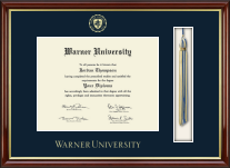Warner University Tassel Edition Diploma Frame in Southport Gold