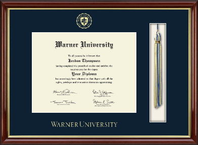 Warner University diploma frame - Tassel & Cord Diploma Frame in Southport Gold