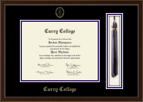 Curry College Tassel Edition Diploma Frame in Delta