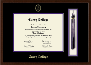 Curry College diploma frame - Tassel & Cord Diploma Frame in Delta