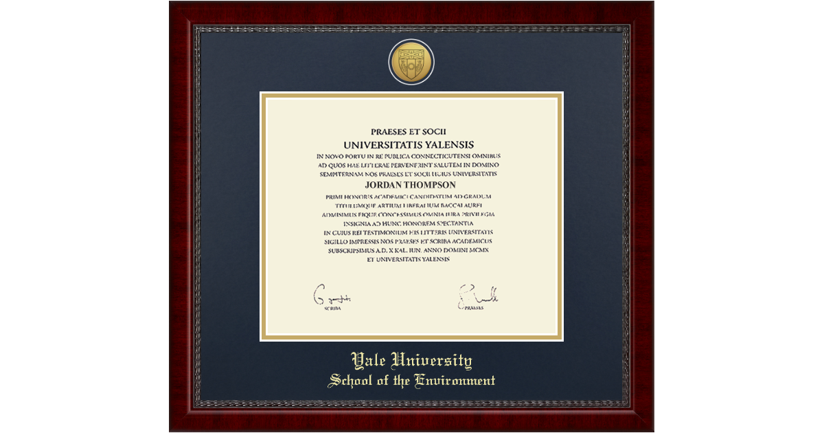 Gold Engraved Medallion Diploma Frame in Sutton Yale University - Item ...