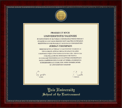 Yale University diploma frame - Gold Engraved Medallion Diploma Frame in Sutton