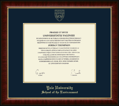 Yale University diploma frame - Gold Embossed Diploma Frame in Murano