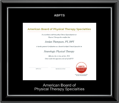 American Board of Physical Therapy Specialties certificate frame - Silver Embossed Certificate Frame in Onyx Silver