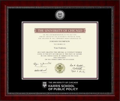 University of Chicago diploma frame - Silver Engraved Medallion Diploma Frame in Sutton