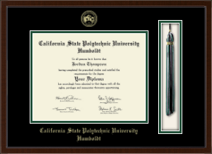Tassel & Cord Diploma Frame
