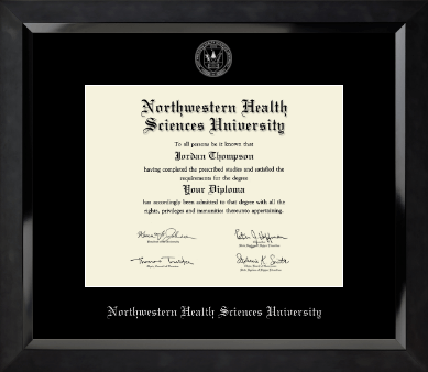 Northwestern Health Sciences University diploma frame - Silver Embossed Diploma Frame in Eclipse