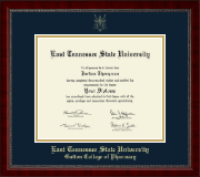 East Tennessee State University Gold Embossed Diploma Frame in Sutton