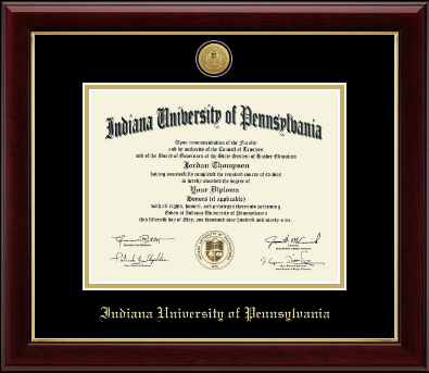 Indiana University of Pennsylvania diploma frame - Gold Engraved Medallion Diploma Frame in Gallery