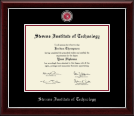 Masterpiece Medallion Diploma Frame