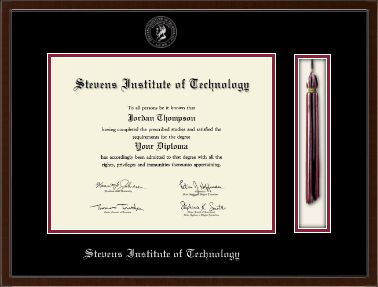 Stevens Institute of Technology diploma frame - Tassel & Cord Diploma Frame in Delta