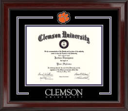 Spirit Medallion Diploma Frame