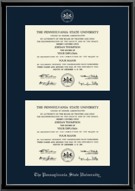 Pennsylvania State University diploma frame - Double Diploma Frame in Onexa Silver