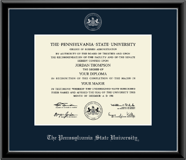 Pennsylvania State University diploma frame - Silver Embossed Diploma Frame in Onexa Silver