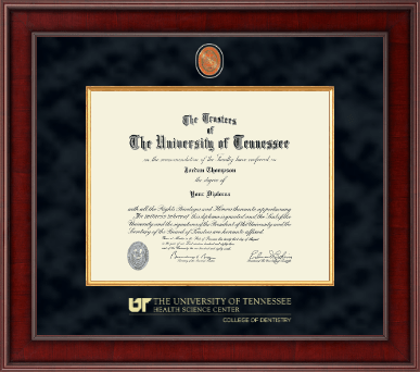 The University of Tennessee Health Science Center Memphis diploma frame - Presidential Masterpiece Diploma Frame in Jefferson