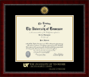 The University of Tennessee Health Science Center Memphis diploma frame - Gold Engraved Medallion Diploma Frame in Sutton