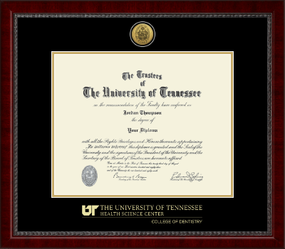 The University of Tennessee Health Science Center Memphis diploma frame - Gold Engraved Medallion Diploma Frame in Sutton