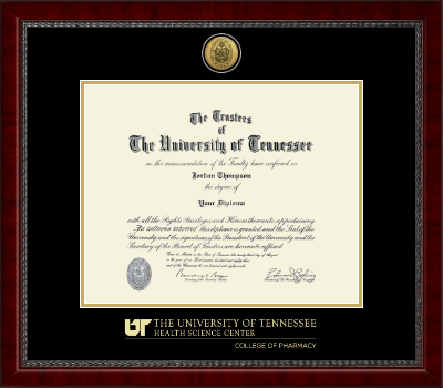 The University of Tennessee Health Science Center Memphis diploma frame - Gold Engraved Medallion Diploma Frame in Sutton