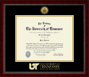 The University of Tennessee Health Science Center Memphis Gold Engraved Medallion Diploma Frame in Sutton