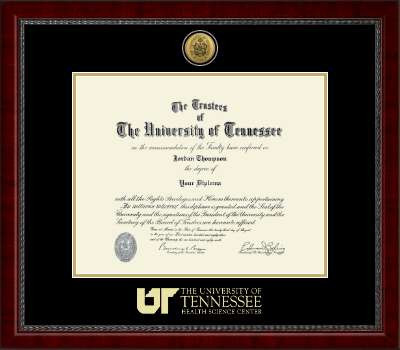 The University of Tennessee Health Science Center Memphis diploma frame - Gold Engraved Medallion Diploma Frame in Sutton