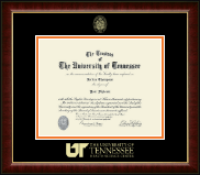 The University of Tennessee Health Science Center Memphis Gold Embossed Diploma Frame in Murano