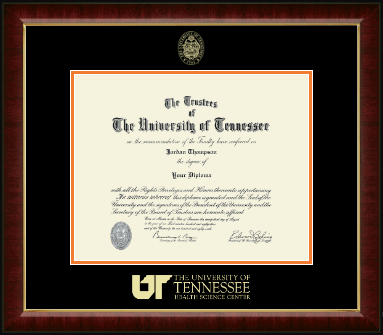 The University of Tennessee Health Science Center Memphis diploma frame - Gold Embossed Diploma Frame in Murano