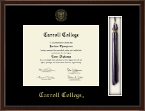 University of South Florida diploma frame - Tassel & Cord Diploma Frame in Delta