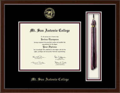 Mt. San Antonio College diploma frame - Tassel & Cord Diploma Frame in Delta